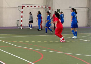 Liga Femaddi de Fútbol Sala Femenino 2024-2025