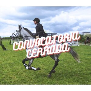 CONVOCATORIA CERRADA (4)