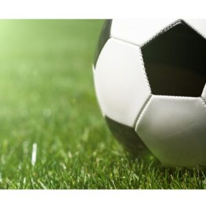 CONVOCATORIA CERRADA (4)